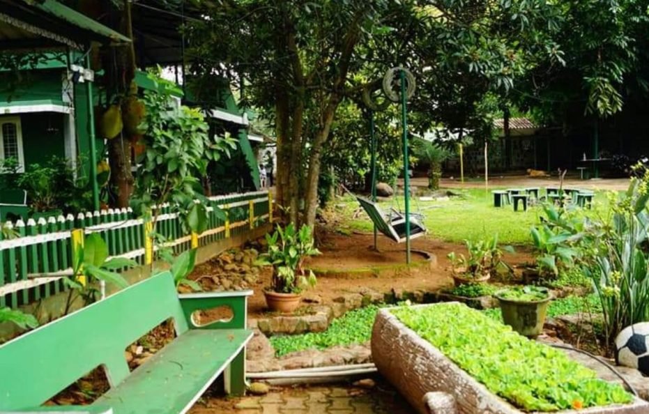 Bird Of Paradise Homestay