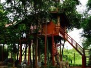 Squad Goals: Coorg Tour Package for Friends with Poolside Fun