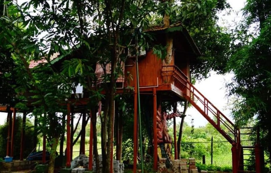Bird Of Paradise Homestay
