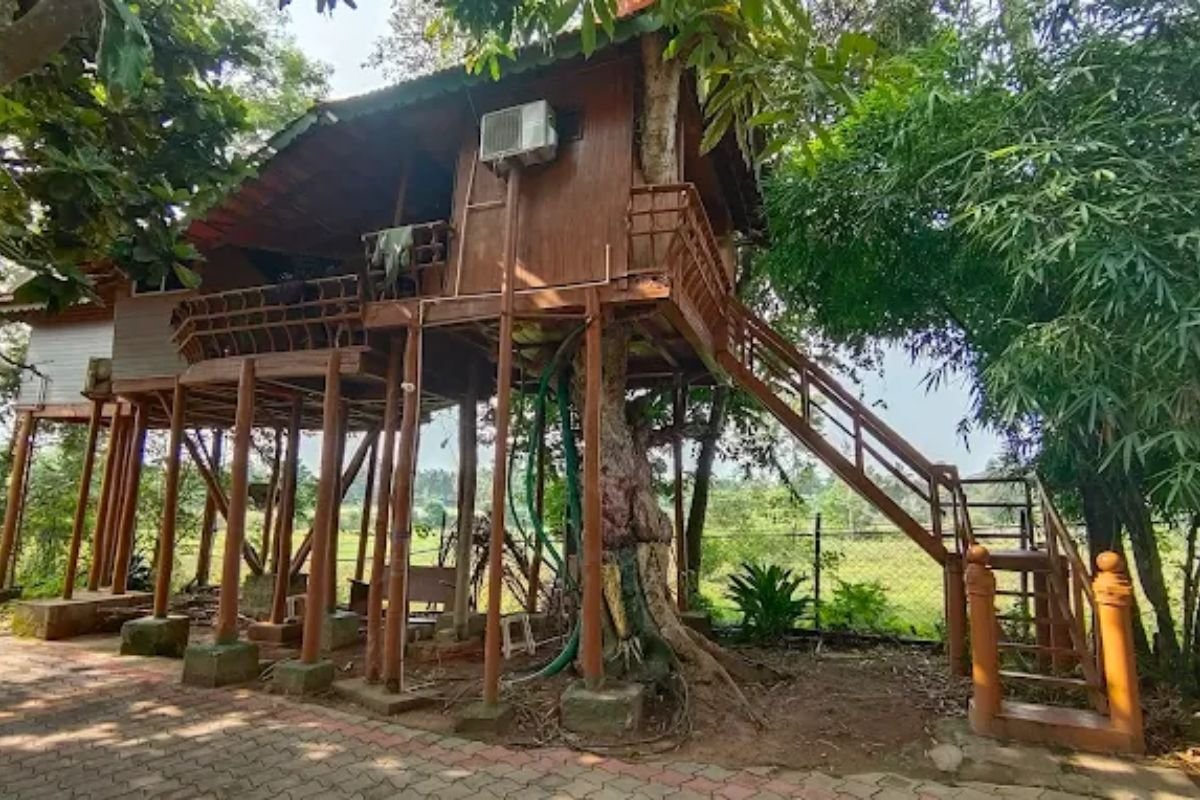 Tree House