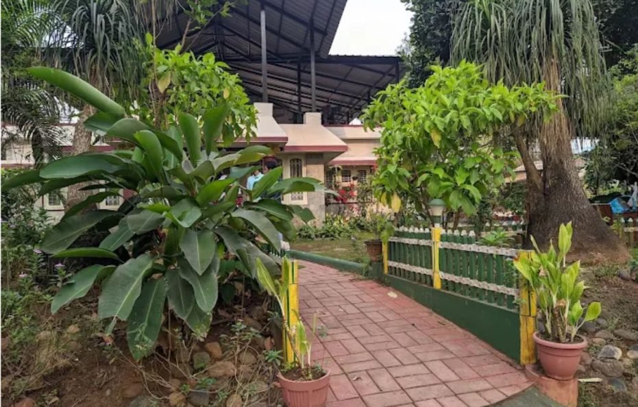 Bird Of Paradise Homestay