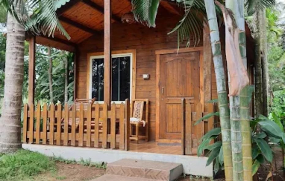 Bird Of Paradise Homestay