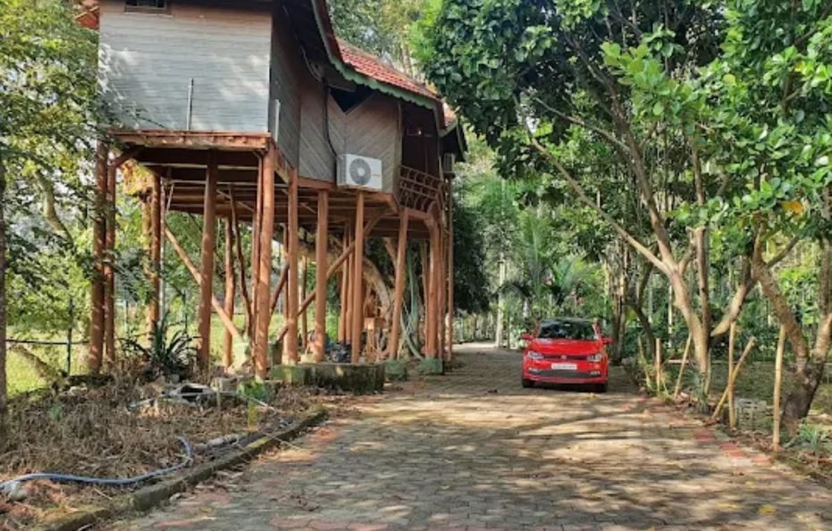 Bird Of Paradise Homestay