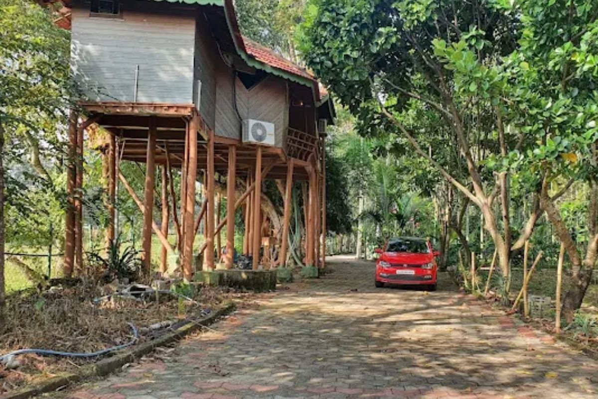 Tree House