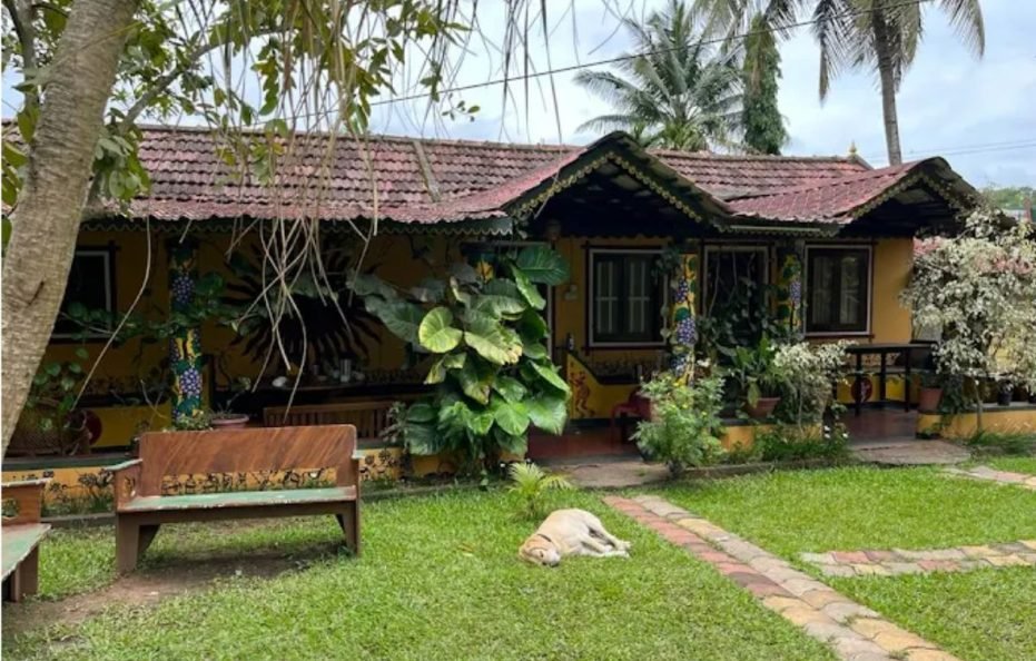 Bird Of Paradise Homestay