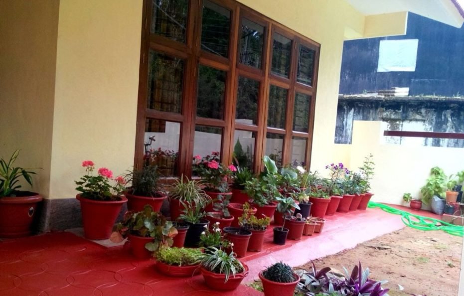 Akki Homestay