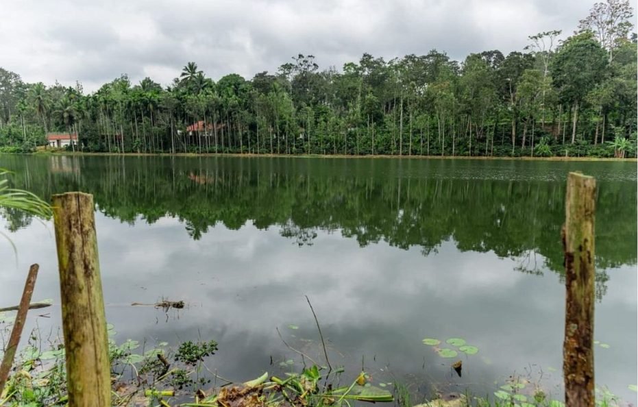 Carpediem Backwaters