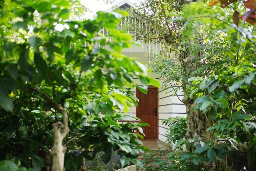 Candlelight & Coffee Estates: Romantic Escape with Private Pool