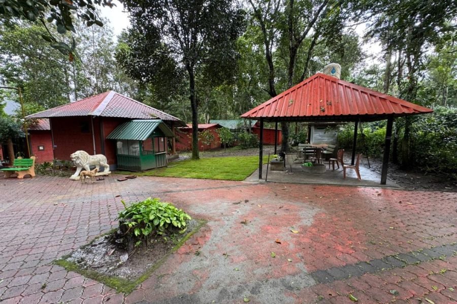 Blue Waters & Green Hills: A Poolside Coorg Retreat