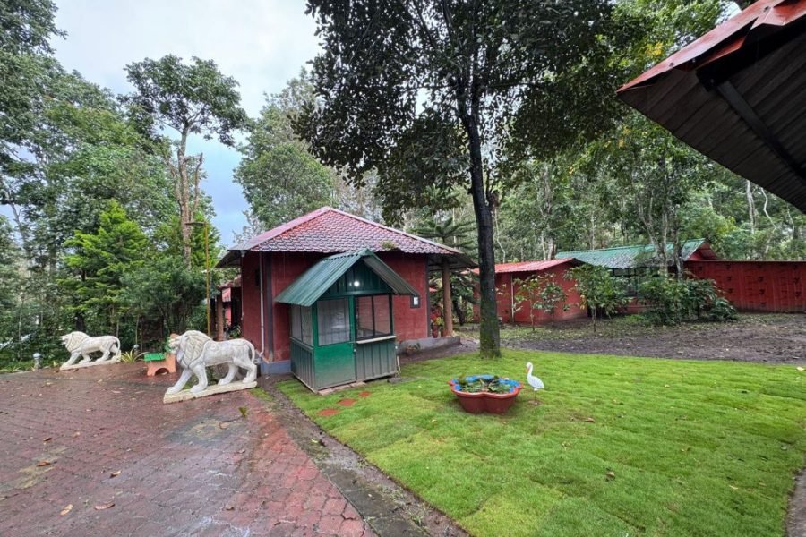 2-Day Nature Retreat: Bangalore to Coorg with Campfire Stay