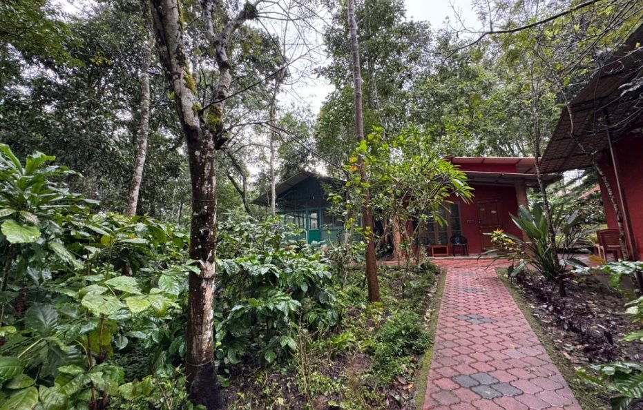 Manuvan Homestay