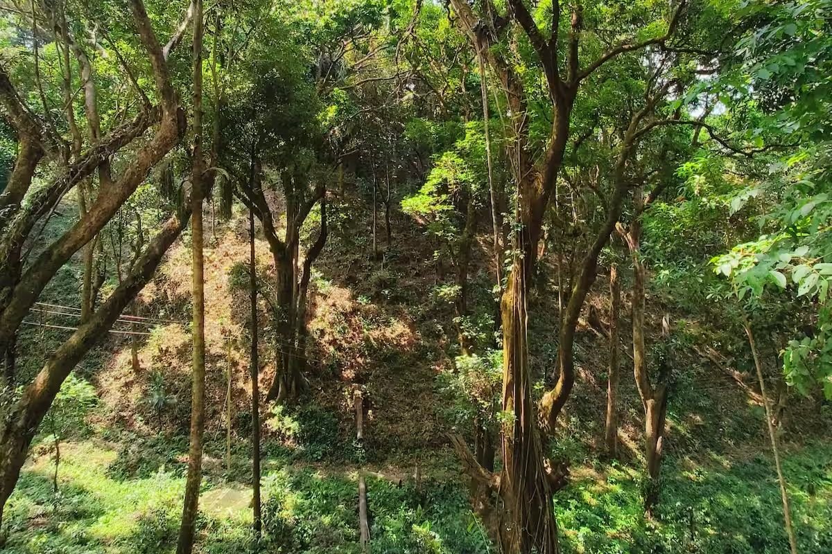 Reevilla Estate Stay