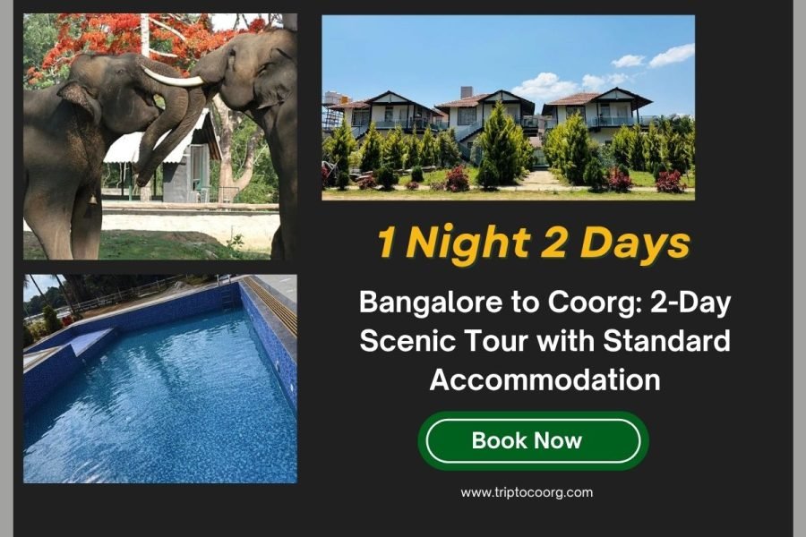 Bangalore to Coorg: 2-Day Scenic Tour with Standard Accommodation