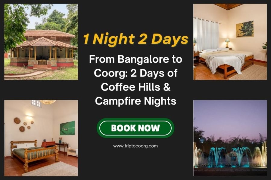 From Bangalore to Coorg: 2 Days of Coffee Hills & Campfire Nights