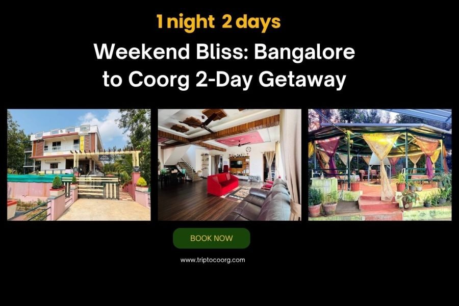 Bangalore to Coorg Getaway: 2 Days of Nature, Coffee & Campfire