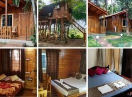 30-33 People 4 Days Standard Tour Package Mysore to Coorg